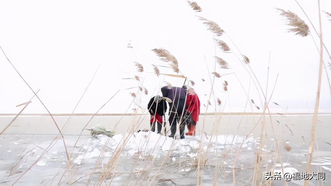 双胜村锣鼓秧歌表演,大庆双胜村新闻