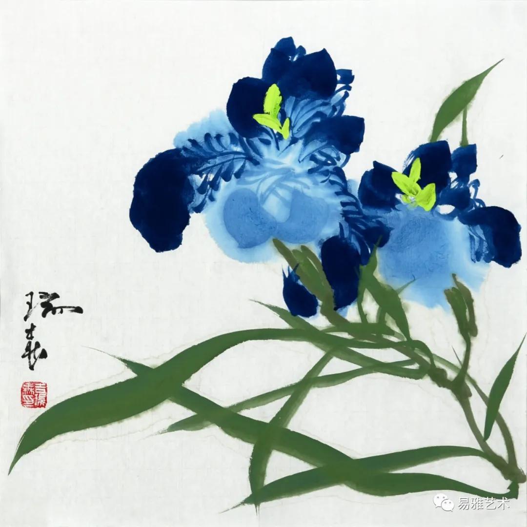 閲戠纭曟灉鍥界敾娆ｈ祻,閲戠纭曟灉鍥界敾浣滃搧娆ｈ祻