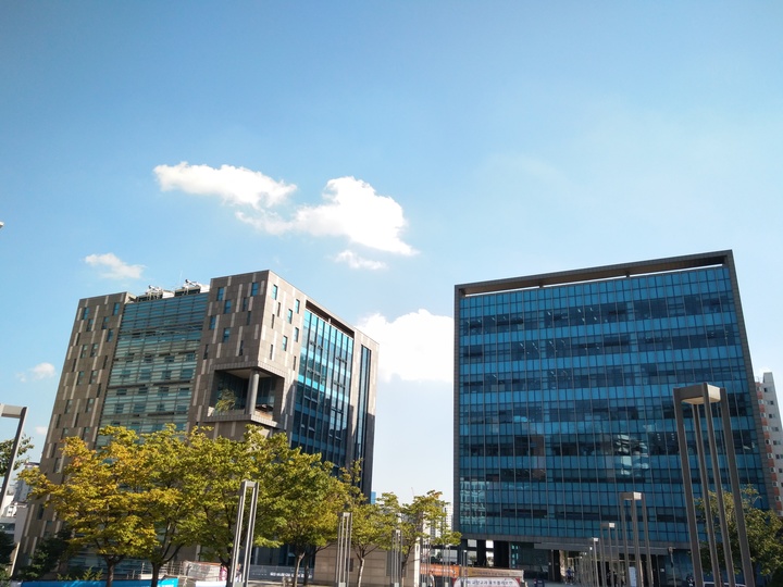 韩国西江大学留学费用一览表,韩国西江大学有哪些专业