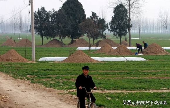 火化后再土葬要不要骨灰盒,火化后骨灰盒可以回乡土葬吗