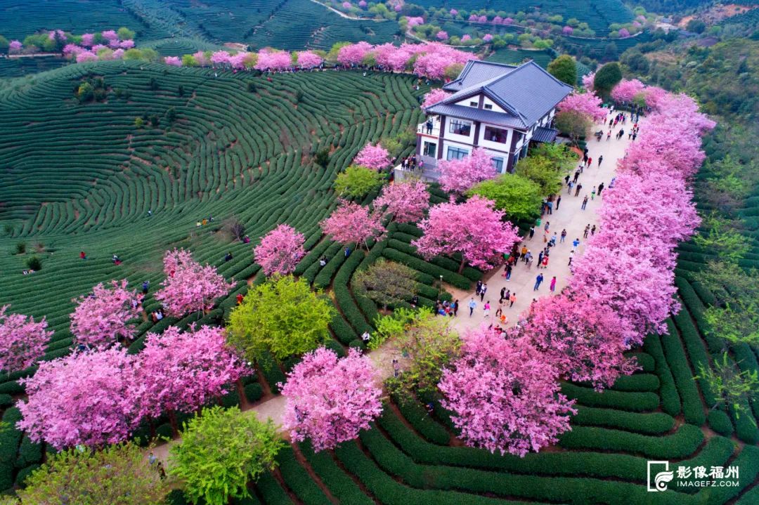 这位建筑设计摄影咖，首次分享他频频获奖的“秘籍”