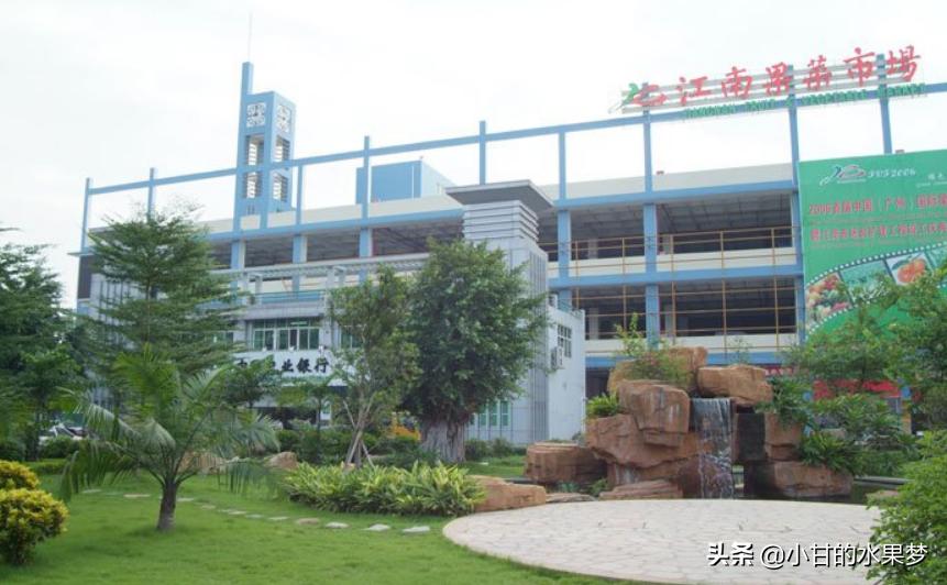 广州江南水果批发市场今天价格,广东新的水果批发市场招商