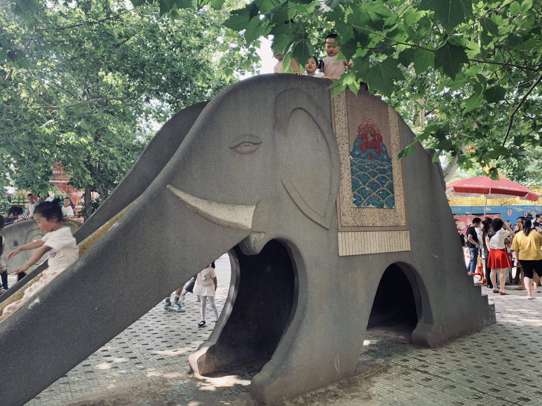 最美的西安兴庆公园,西安兴庆公园一道美丽的风景线