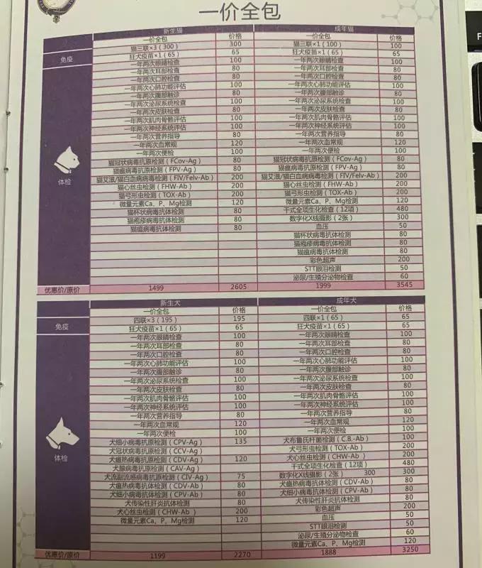 宠物经济背后的真实故事,宠物经济现状大爆发