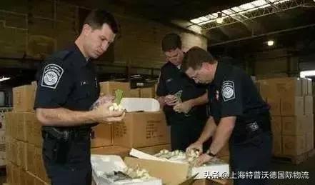 货物被海关扣押怎么办,货品被海关扣了怎么办