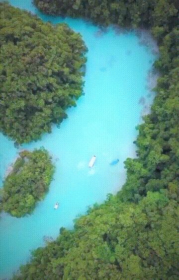 潜水圣地推荐帕劳,帕劳潜水旅游攻略