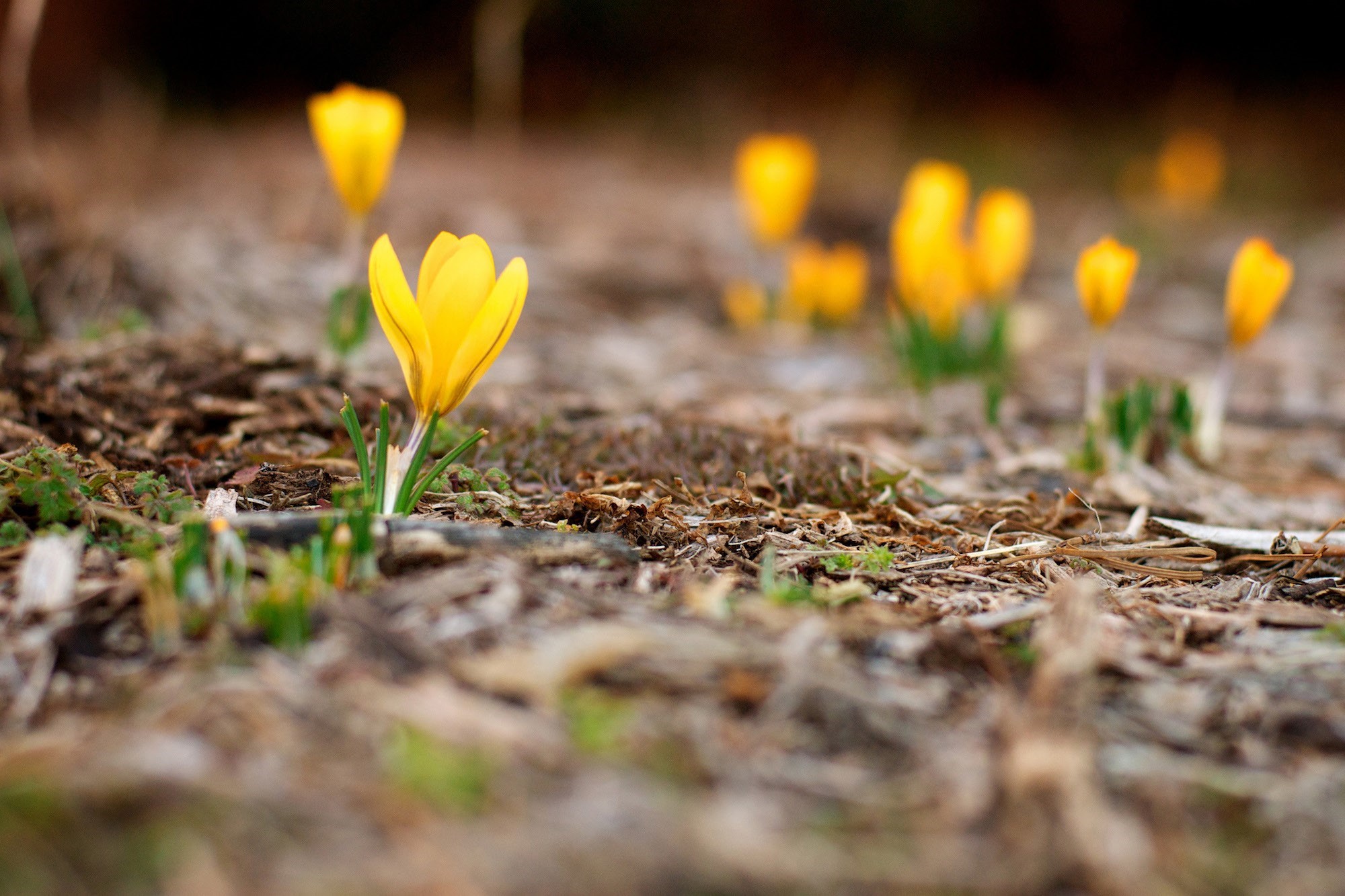 单反相机各个功能按钮图解,图解单反相机基本原理
