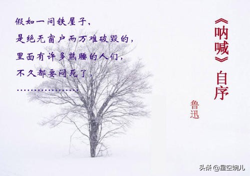 鲁迅《明天》：生与死相邻，绝望与希望比肩