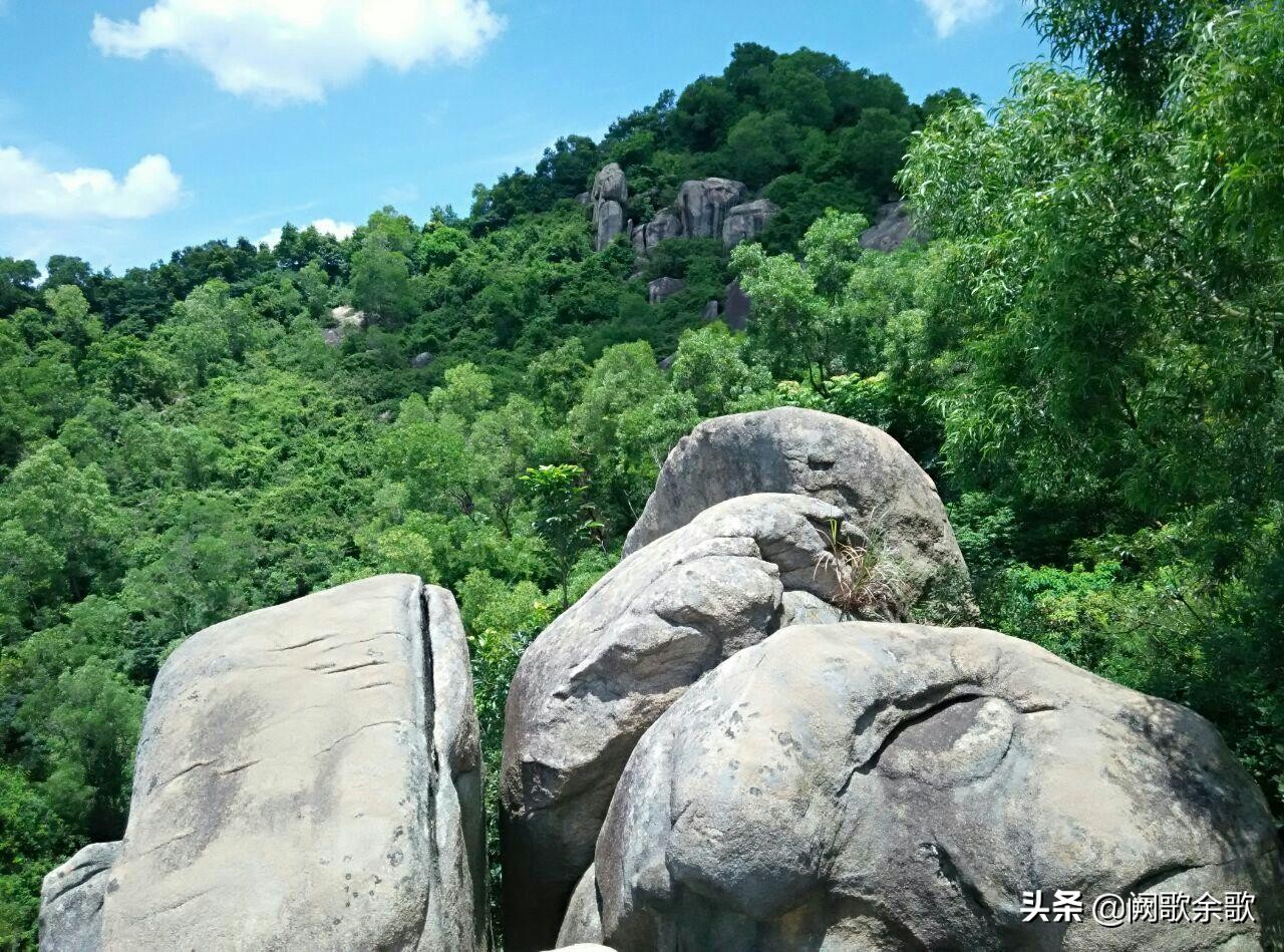 珠海公园森林风景,珠海公园美景视频