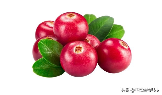 美白护肤品网红推荐,护肤淡斑美白大牌推荐