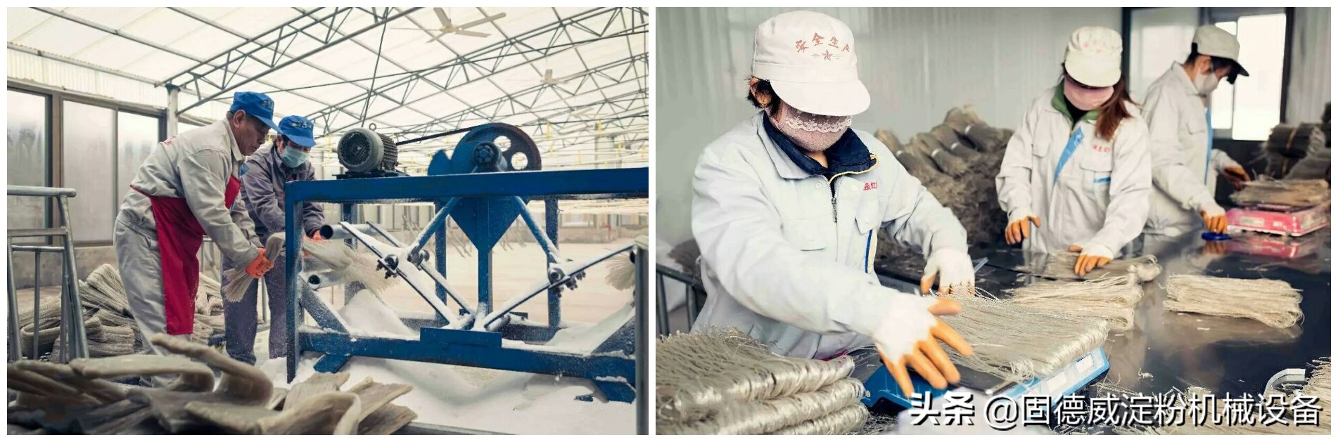 红薯粉条加工机器技术问题,红薯粉条手工漏粉制作全过程