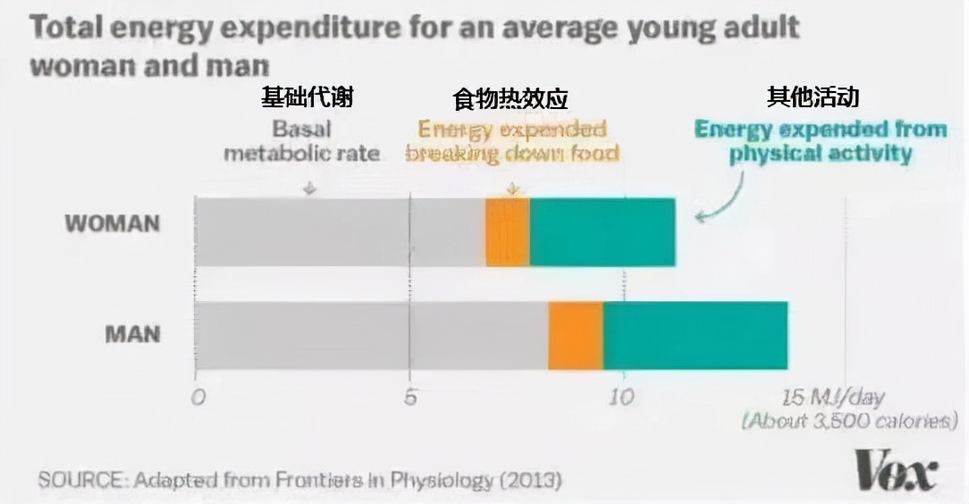 8招让你提高基础代谢更容易瘦,8个方法提高代谢让我瘦了50斤