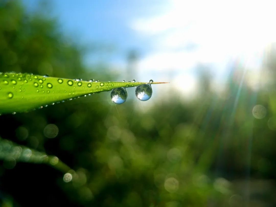 易感冒上火的原因,易上火易感冒吃什么药