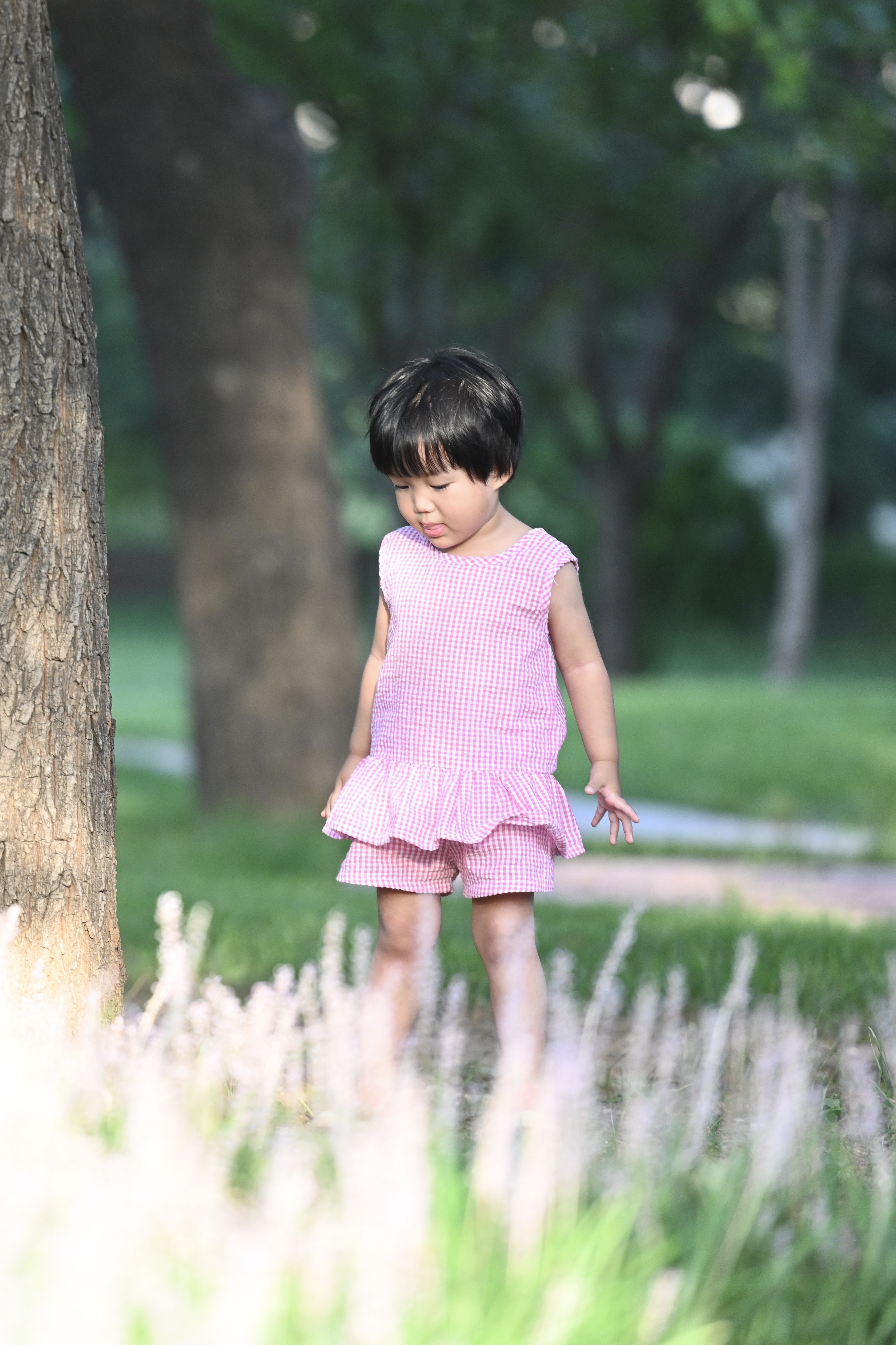 南郊美美,南郊宾馆的风景