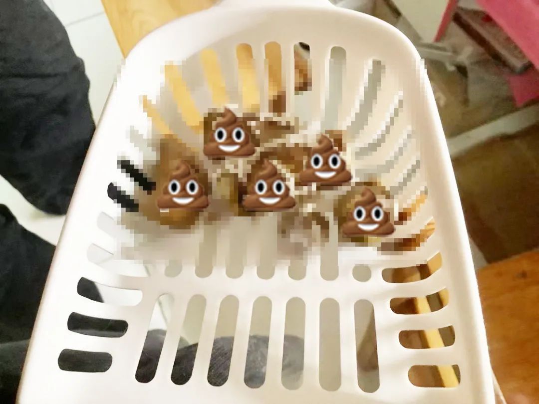 猫咪患ibd慢性肠炎怎么治疗,猫咪肠胃炎之后总是软便怎么调理