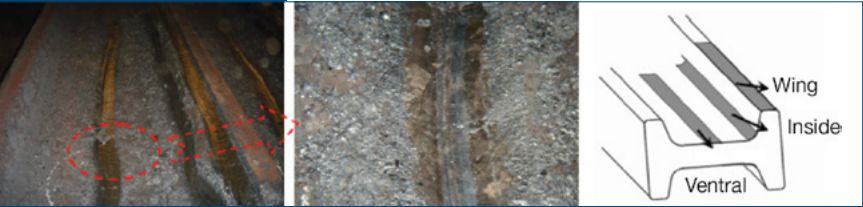 矩形坯连铸新技术,连铸圆坯中心裂纹