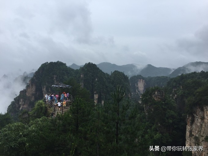 到张家界天门山自助游价格多少钱,武汉到张家界天门山三日游