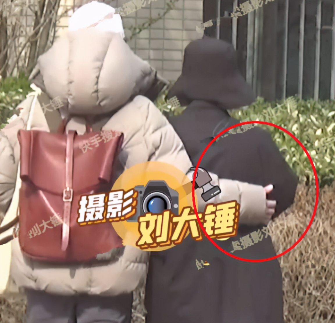 郭采洁伊德尔综艺节目,郭采洁和乐队成员谈恋爱