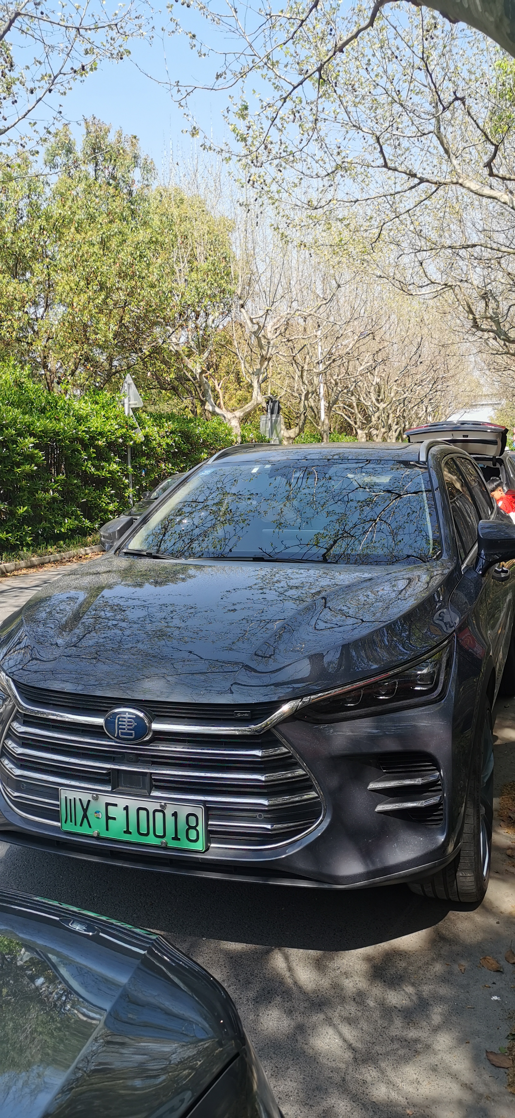 上海东方绿舟游玩项目价格,上海东方绿舟适合游玩多久