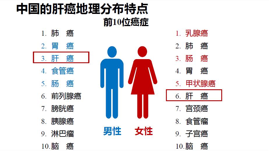 靶向药阿帕替尼治愈肝癌,阿帕替尼的靶向药