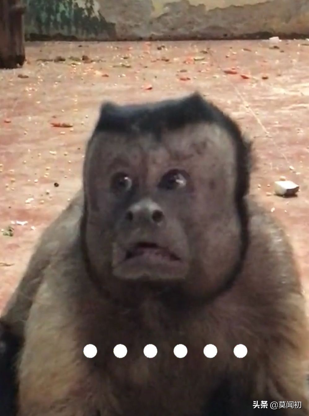 7500万土耳其里拉是多少人民币,叙利亚橄榄油土耳其