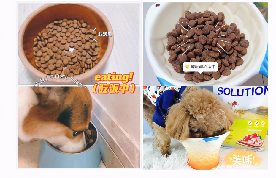 耐吉斯的狗粮好不好,耐吉斯狗粮和k9哪个好些