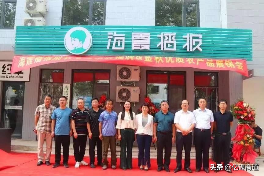 互联网创业盈利模式,白手起家互联网创业真实案例