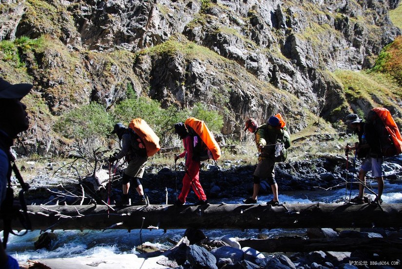 狼c调简谱教唱,狼c