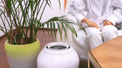 黑科技小型加湿器,奇特的加湿器