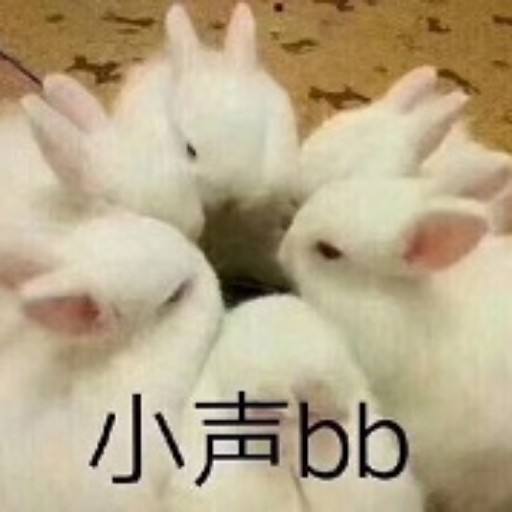 还有哪些沙雕歌词,沙雕歌词十首