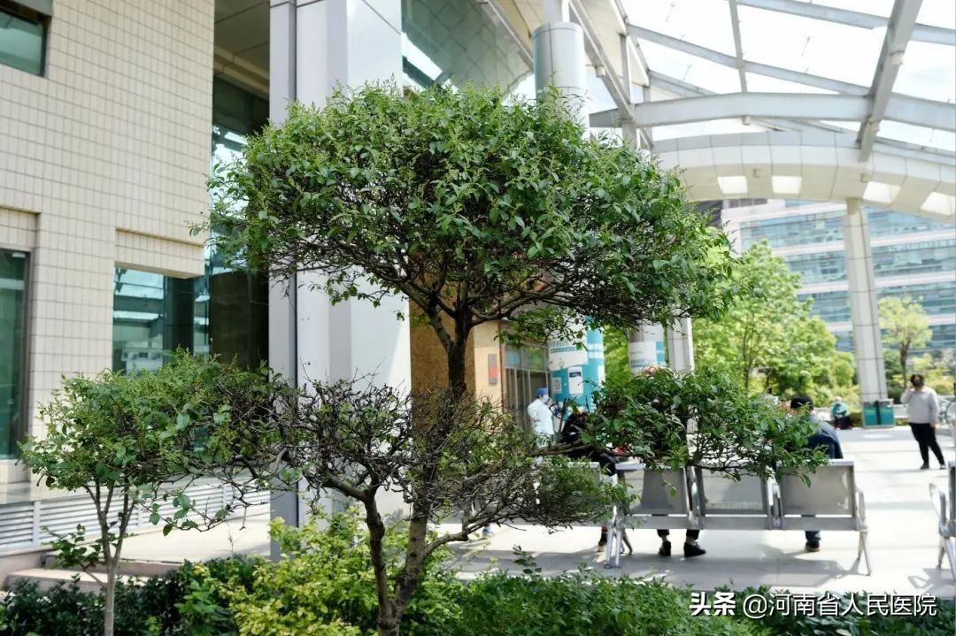 有一种疼痛,叫三叉神经痛