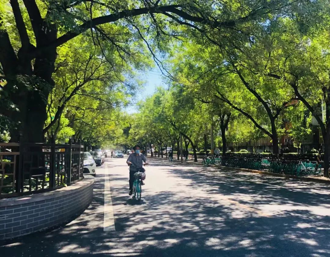 朝阳街巷遇见美好