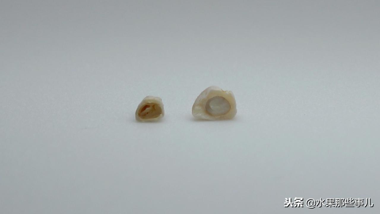 突尼斯软籽石榴与其他石榴的区别,甜石榴突尼斯软籽石榴的功效