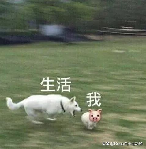 成功瘦身的7大营养素,成功减肥的七大营养素