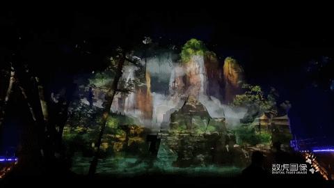 属虎,数虎图像深圳