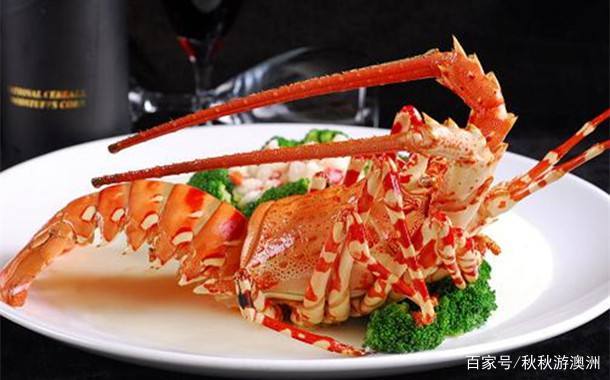 呱呱去旅游,呱呱去内蒙古旅游