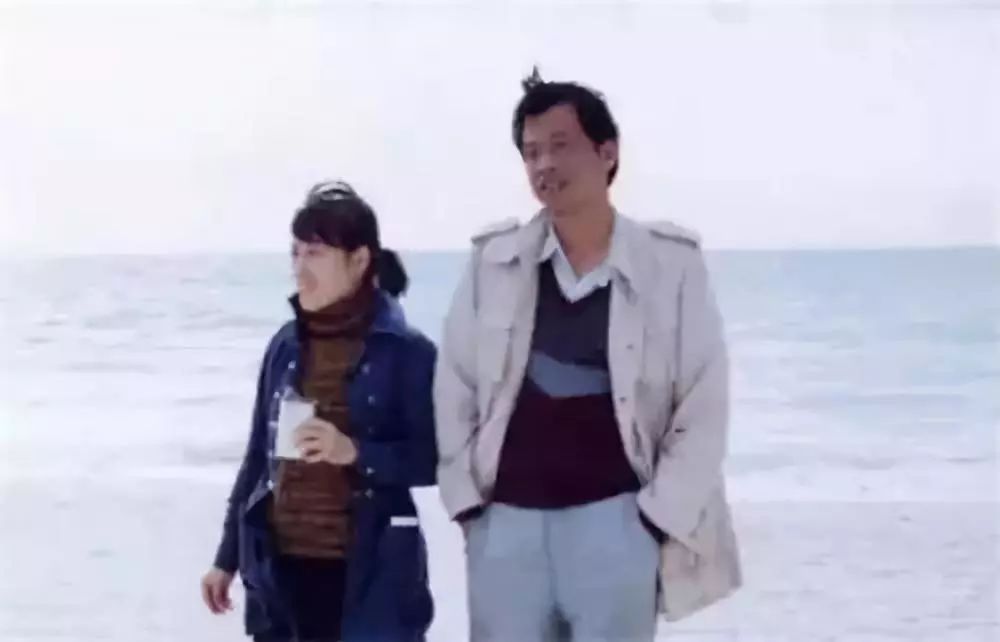 你好李银河王小波完整版,王小波和李银河儿子