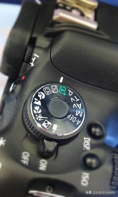 摄影新手入门相机操作简单,相机摄影入门基础知识教程图片