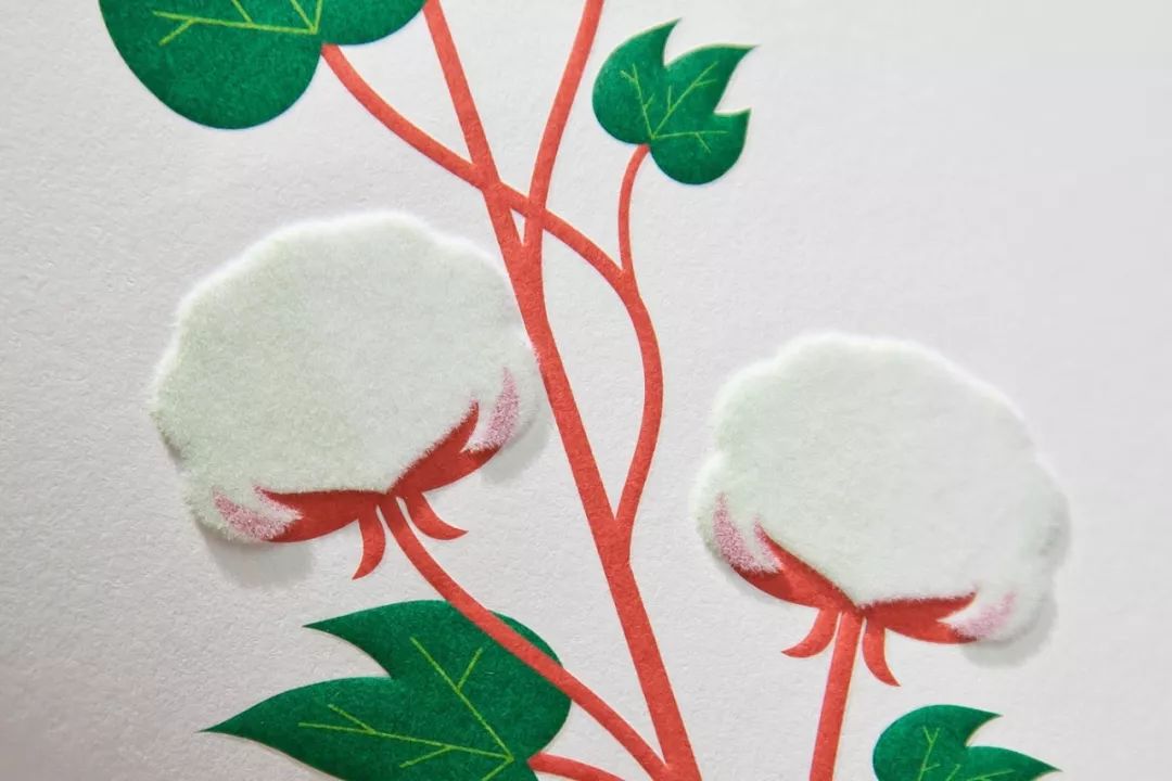 平面设计印刷知识,平面设计师需要懂的纸张知识