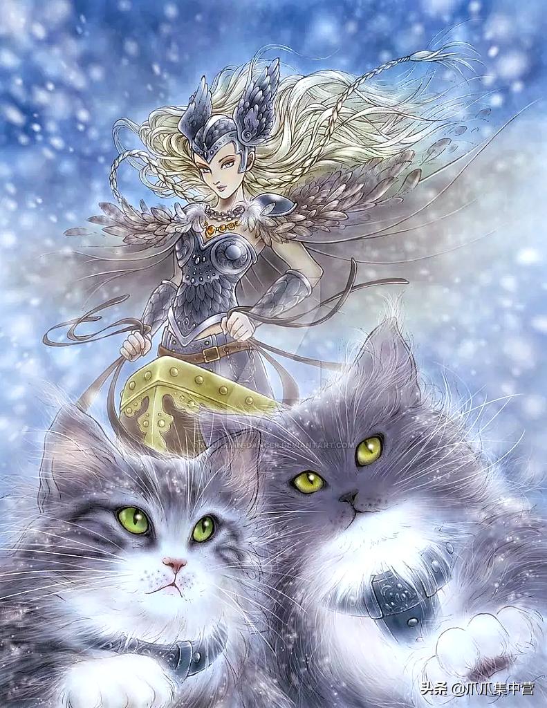 主人晒猫咪图片,主人看到猫咪一脸怒容