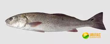 舟山海鲜攻略2天1晚住宿自由行,舟山最好的海鲜