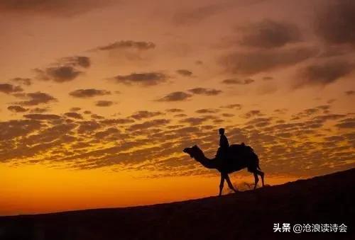 把生活写成诗完整版,把生活写成诗一年级