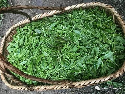 泾县哪些地方值得去,泾县值得去吗