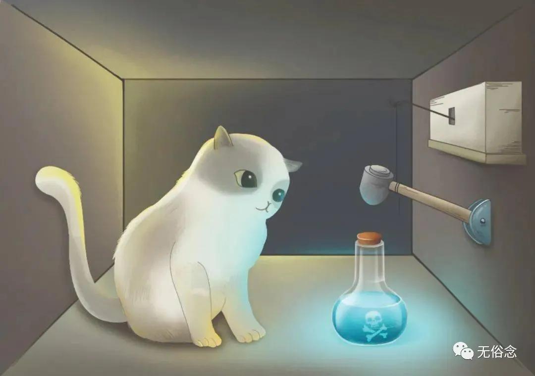 什么是心态问题,真的是心态决定状态