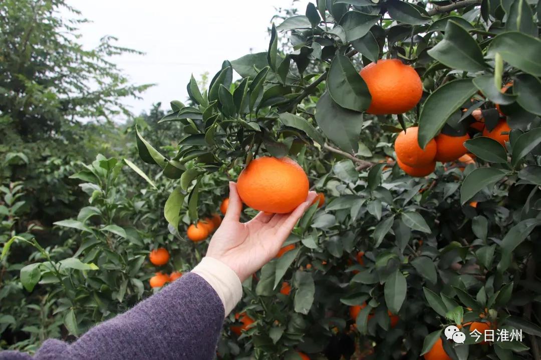 淮口景区,淮口附近旅游景区推荐一下