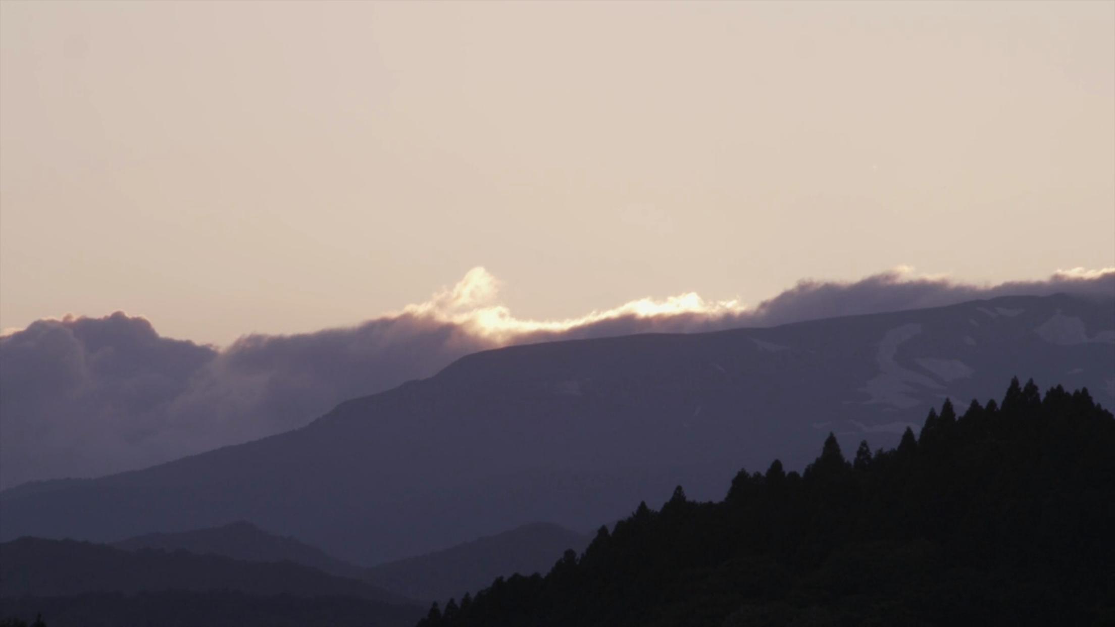 日本清新小森林,小森林的春夏秋冬舌尖上的治愈系