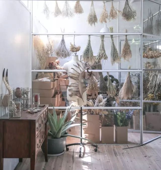 深山老林自建豪华木屋隐居生活,90后小情侣隐居深山建别墅仅花6万