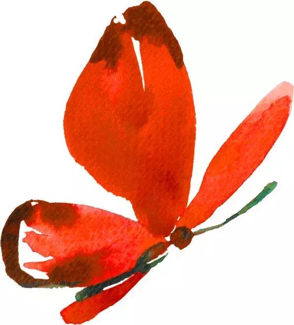 金湖荷花荡图片,金湖荷花荡介绍