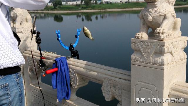 桥筏钓悬钩用什么,为什么桥筏的线要粗一点