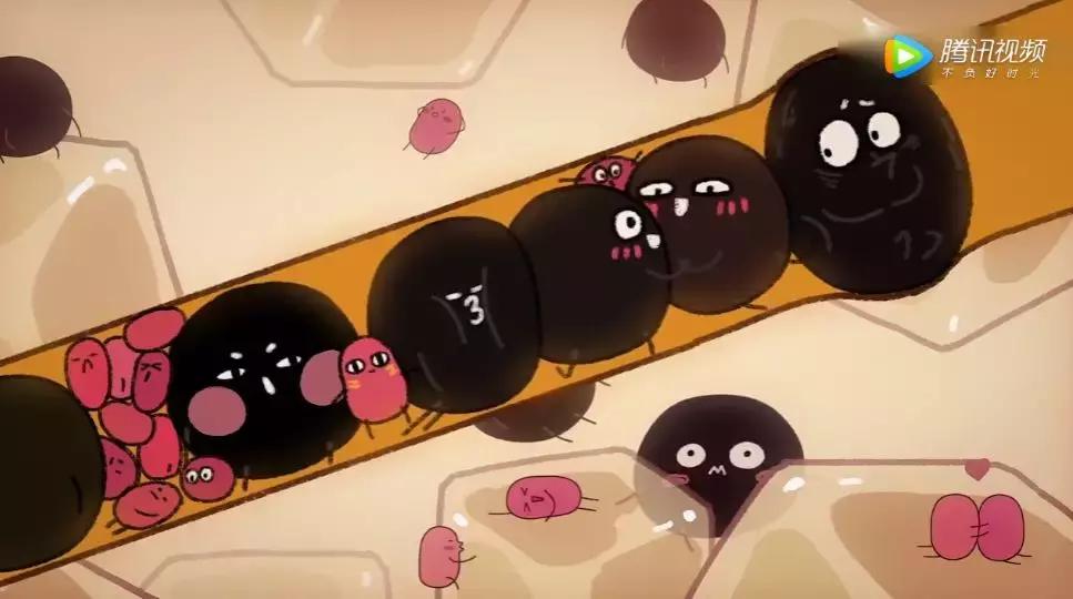 国产泡面番排行榜前十名,日本最新泡面番推荐